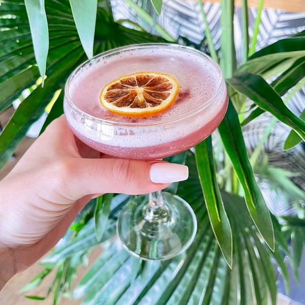 Hand holding a pink cocktail with a dried orange slice, against a background of green palm leaves.